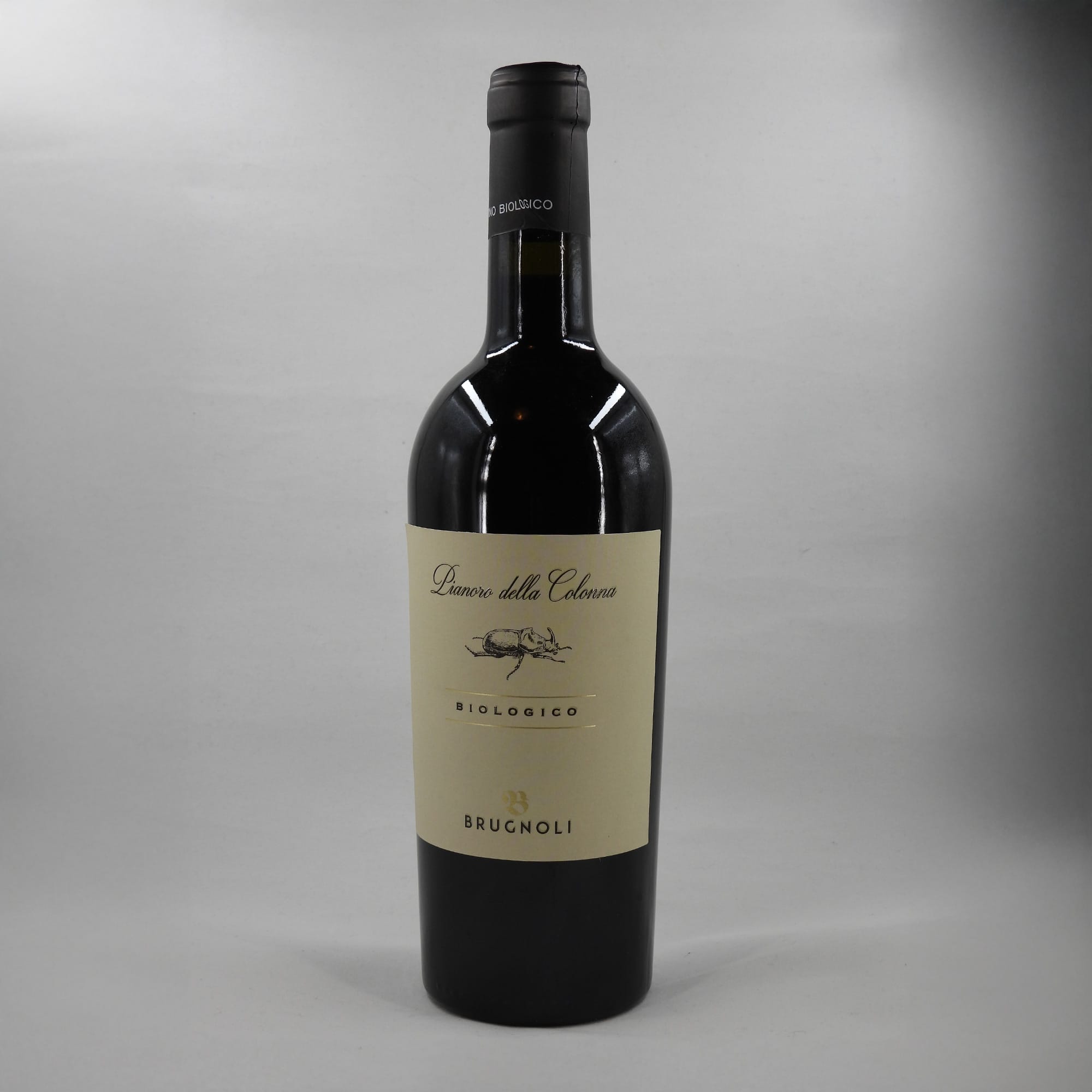 Brugnoli---2019-Pianoro-della-Colonna